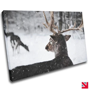 REINDEER SNOW ANIMAL DEER CANVAS Wall Art Picture Print - Picture 1 of 3