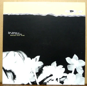 Hope Sandoval & The Warm Inventions – Bavarian Fruit Bread 2001 Rough Trade LP - Bild 1 von 6