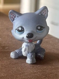 Authentischer Littlest Pet Shop LPS blau weiß Winter Husky Hund #1617 Blythe #1 selten - Bild 1 von 9