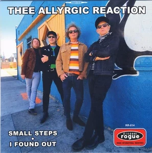 THEE ALLYRGIC REACTION Small Steps vinyl 7" garage punk mod beat Loons Woggles - Picture 1 of 4
