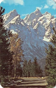 Postal WY: Grand Teton, Jackson Hole, Wyoming, publicada 1977 - Imagen 1 de 2