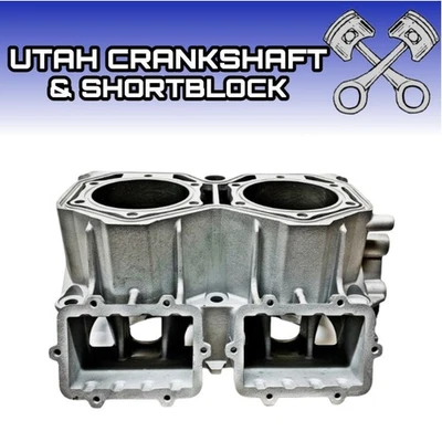 Re-Plated Ski-Doo 850 E-TEC Cylinder 2017-2022 420413304 420413545 6413300 MXZ - Image 1 of 2