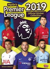 Merlin's Premier League 2019 Sticker MINT #01-310