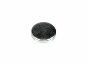 Expansion Plug For 1968-1969 Buick GS 400 C529ZZ - Picture 1 of 1