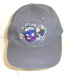 Outdoor Cap Lake Erie Crushers Unisex Strapback Adjustable Embroidered Hat - Picture 1 of 8