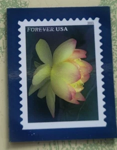 USPS 2021 COLLECTORS FLORAL STAMP MAGNET - Bild 1 von 1