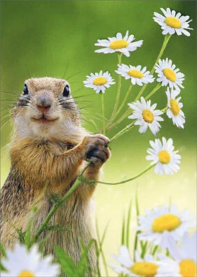 Avanti Press Groundhog Holding Daisies Cute Thank You Card - Image 1 of 2
