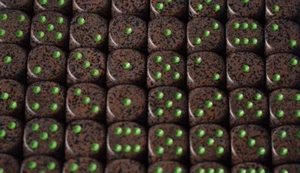 Tierra Moteada 16mm D6 RPG Ajedrez Dados (10 Dados) Marrón Tierra Negro Verde - Imagen 1 de 1