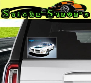 Trans Am Firebird Pontiac white 1970 - 1973 Cool Vinyl Decal X 10 Pack Stickers - Bild 1 von 2