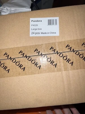 PANDORA BOX BRACCIALE ORIGINALE CHARM GENUINE CARTONE 24 PCS LARGE - Imagen 1 de 4
