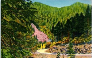 Curving Highway Through the Great Smoky Mountains National Park Postcard - Picture 1 of 2