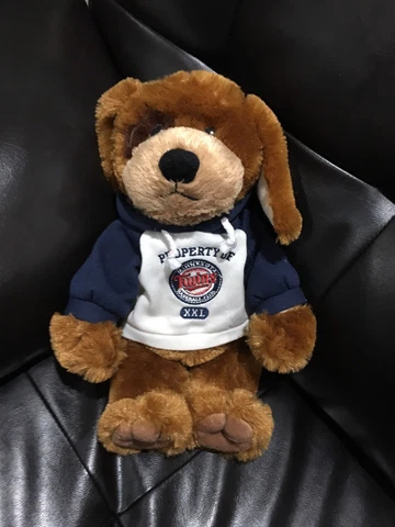 Minnesota Twins Mascot Dog 14" Plush Stuffed Animal MLB Cover
