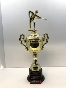 Pool Billiards Award Trophy 16"  Free Custom Engraving M or F Ships 2-3 Priority - Picture 1 of 3