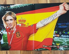 Fernando Torres Poster A3 Bravo