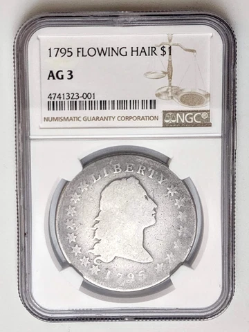 1795 Flowing Hair Silver Dollar $1 NGC AG-3, Historic and Must Have Coin Cover