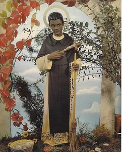 Lot of 24 St Martin de Porres Poster 10x8" Image Print Catholic Saint San Martin - Picture 1 of 1