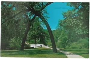 Postal de colección - Lincoln Park - Kenosha, Wisconsin - Imagen 1 de 2