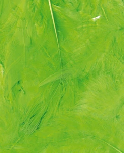 Plumas Despeinadas Verdes Paquete de 3 g Lg 8 a 12 cm - Picture 1 of 1