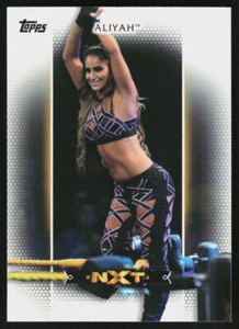 2017 Topps WWE Women's Division Aliyah #R-1 WRESTLING WWE / WWF - Foto 1 di 2