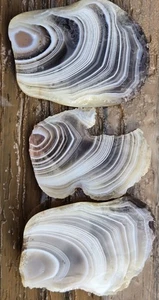 Botswana Achat in drei Scheiben geschliffen - rau, natürlich, nicht poliert - Bild 1 von 4