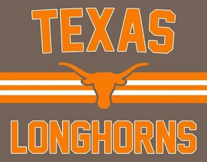 Texas Longhorns Iron On Transfer For T-Shirt + Other Light & Dark Fabrics #2 - Picture 1 of 4