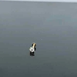 0.04 Ct Round Natural Diamond Solitaire Nose Piercing Stud Pin 14K Yellow Gold - Picture 1 of 10