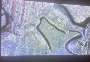 1983 P Kennedy Half Dollar No FG Nice Mint Error! L👀K! - Picture 1 of 4