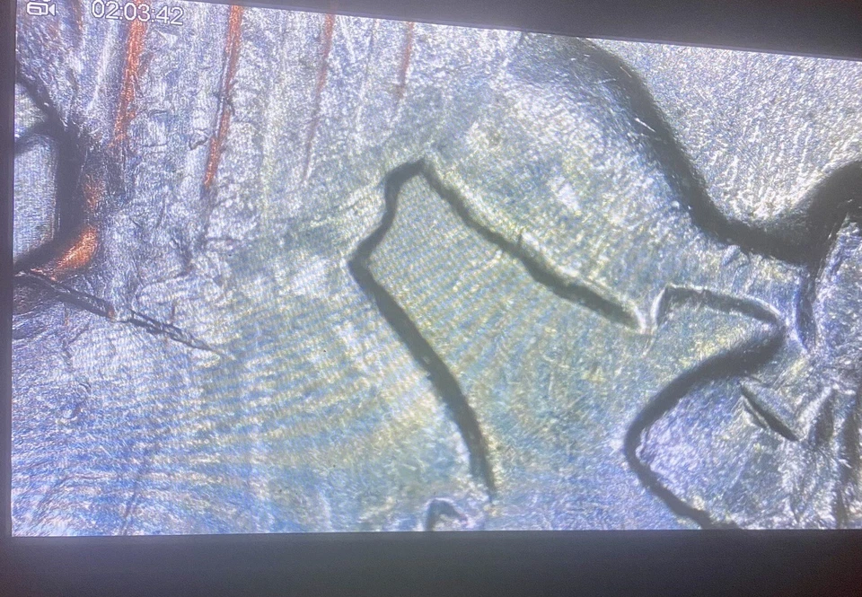 1983 P Kennedy Half Dollar No FG Nice Mint Error! L👀K! - Image 1 of 4