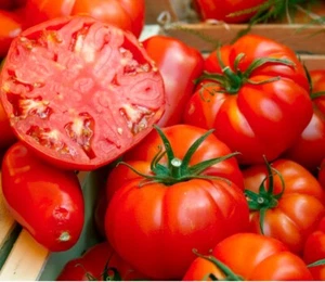 TOMATO BEEFSTEAK 25+ seeds HUGE Fruit heirloom garden vegetable easy grow - Picture 1 of 2