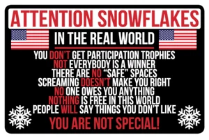 ATTENTIION SNOWFLAKES, YOU ARE NOT SPECIAL - Funny Vinyl Bumper Sticker M32 - Foto 1 di 1