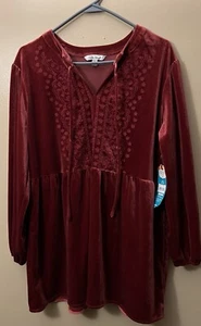PIONEER WOMAN Tunic Top Large Velour Embroidered Empire Waist Tunic - Picture 1 of 8