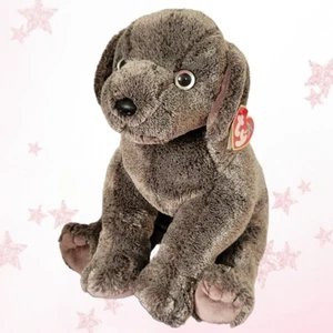 ⭐️ FRISBEE BUDDY ⭐️ 2002 TY Beanie BUDDY Dog - MWMT'S - Picture 1 of 6
