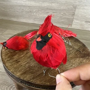 Vintage Cardinal Bright Red Artificial Birds Made With Real Feathers - Picture 1 of 20