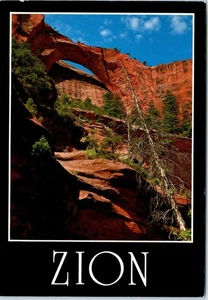Kolob-Bogen nur durch eine 7-Meilen-Wanderung zugänglich, Zion-Nationalpark, Utah Postkarte - Bild 1 von 2