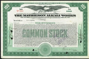 USA MATHESON ALKALI WORKS Aktienzertifikat / Anleihe 1920 WEST VIRGINIA - Bild 1 von 1
