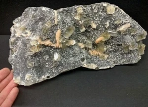 Large 12.50" Apophyllite with Stilbite, Quartz - Maharashtra, India IN1188 - Picture 1 of 8