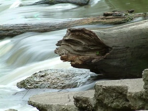Abstract River Log Landscape 16" x 24" on Framed on Velvet Print Paper & Framed - Afbeelding 1 van 1