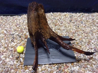 Large Driftwood Mounted on Slate 11"x15"x10" Aquarium Reptile Natural Art - Image 1 of 4