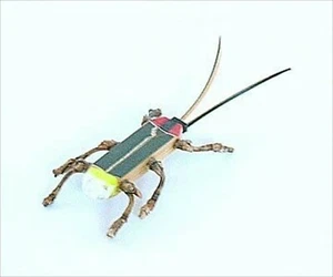 Japanisches traditionelles Handwerk Bambusarbeit Insekt Glühwürmchen Blitz Käfer Nachtlicht - Bild 1 von 3