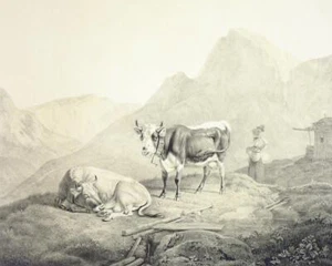 BAYERN - Hochgebirge - Münchner Album - Lithografie um 1842 - Bild 1 von 2