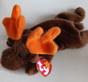 TY Beanie Baby "Chocolate" the Moose 1993 NWT #4015 - Picture 1 of 5