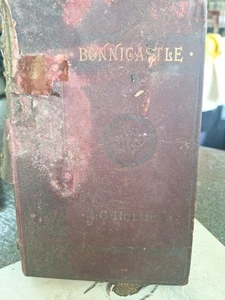Vtg RARE ARTHUR BONNICASTLE 1894 HARDBACK BOOK AN AMERICAN NOVEL - Picture 1 of 11