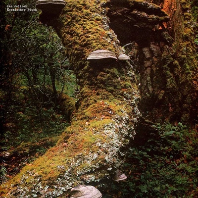 Jan Jelinek - Kosmischer Pitch (Vinyl LP - 2005 - EU - Reissue) - Bild 1 von 2