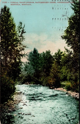 POSTCARD TYPICAL TROUT STREAM RATTLESNAKE CREEK  MISSOULA MONTANA - 1909 - Image 1 of 2