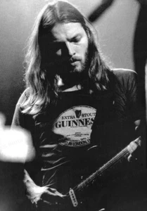 8x10 Print David Gilmour Pink Floyd #PFDG - Picture 1 of 1