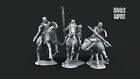 Grey Castle Knights 28mm dnd miniature dungeon & dragons fantasy wargaming Lotr