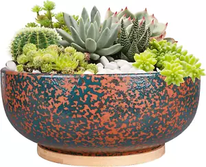 10 Inch Large Terracotta Planter Succulent Plant Bowl Deep Flower Pot Indoor and - Picture 1 of 12