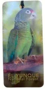 3-D Bookmark El Yunque National Forest with Parrot and Waterfall - Imagen 1 de 1