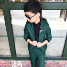 Boys Formal Blazer Jacket Pants 2Pcs Photography Suit Kids Children Party Dress