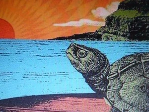 Dave S Picks Vol.19: 01/23/70 Honolulu, Hi Grateful Dead Neu - Bild 1 von 1